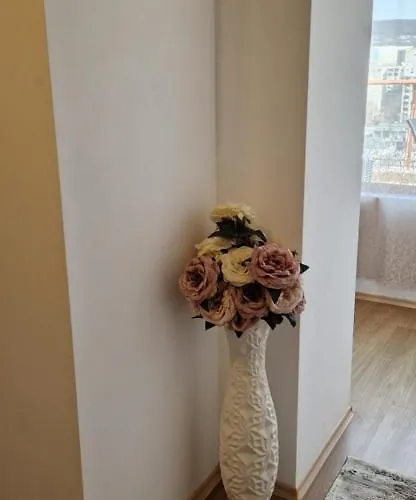 Апартаменты студио тони 1 *